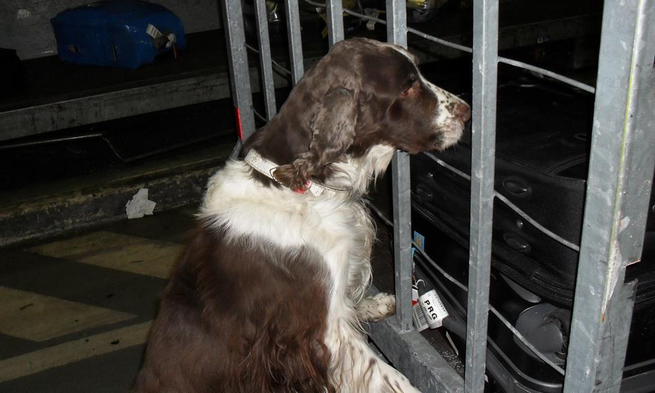 2016-8-25-1140foto 4.JPG